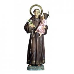 Purísima Concepción